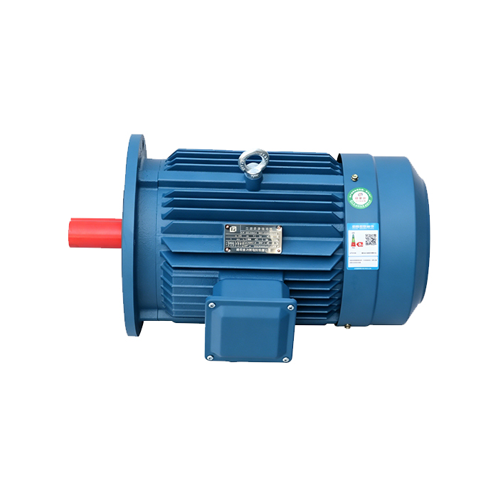 YE3 vertical motor