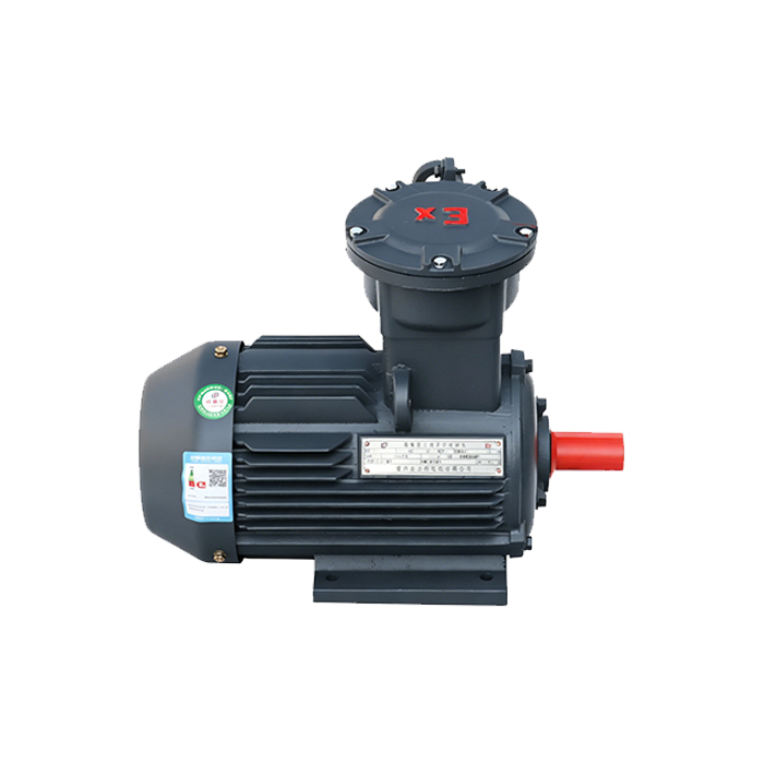Explosion proof motor YBX3